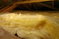 Gaer pitch roof insulation